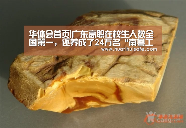 华体会官网在线